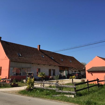 Gite Chez Marcel Et Bea La Chapelle-Saint-Sauveur  Екстер'єр фото